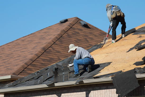 Best Solar Panel Roofing Installation  in Brandenburg, KY