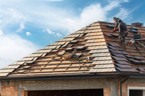 Best Roofing for New Construction  in Brandenburg, KY